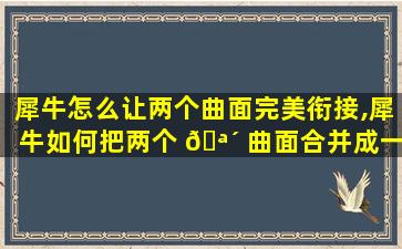 犀牛怎么让两个曲面完美衔接,犀牛如何把两个 🪴 曲面合并成一个曲面
